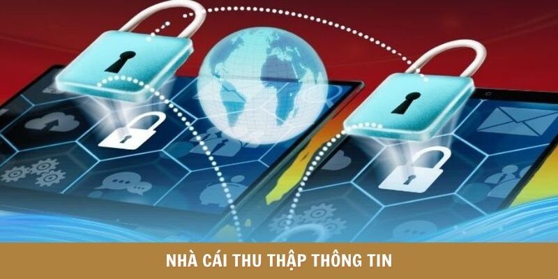 Nhà cái thu thập thông tin