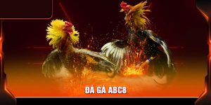Đá gà ABC8