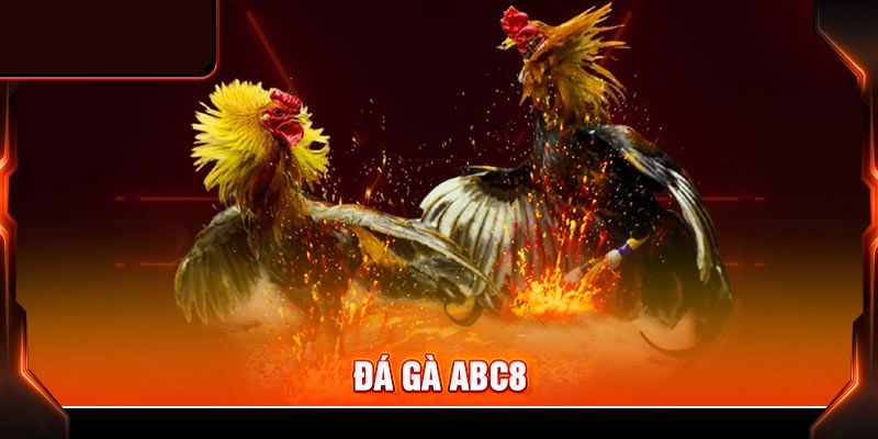 Đá gà ABC8